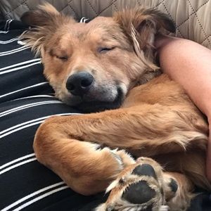 Meet your Posher, Jason